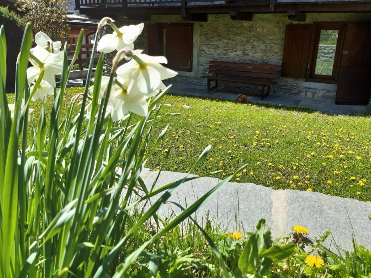 Sauze d'Oulx with garden, ciâbőt la garitüla Sauze D'Oulx Exterior foto