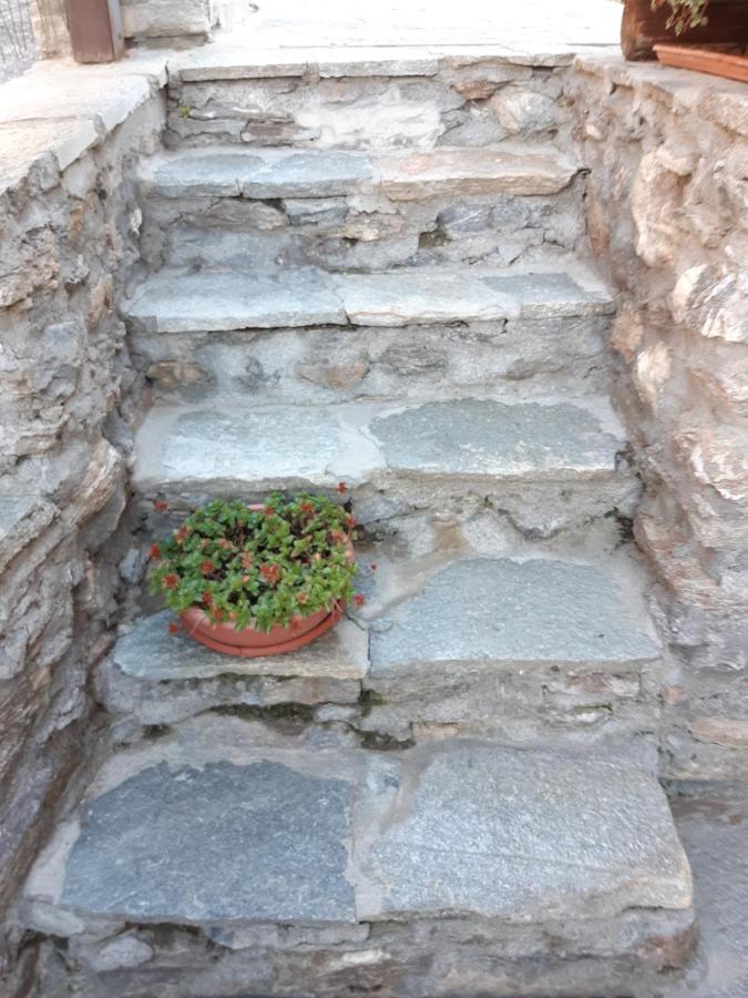 Sauze d'Oulx with garden, ciâbőt la garitüla Sauze D'Oulx Exterior foto