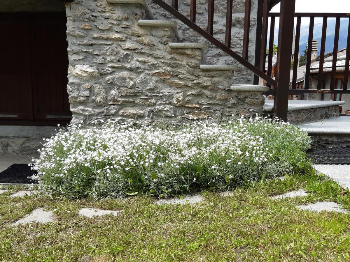 Sauze d'Oulx with garden, ciâbőt la garitüla Sauze D'Oulx Exterior foto